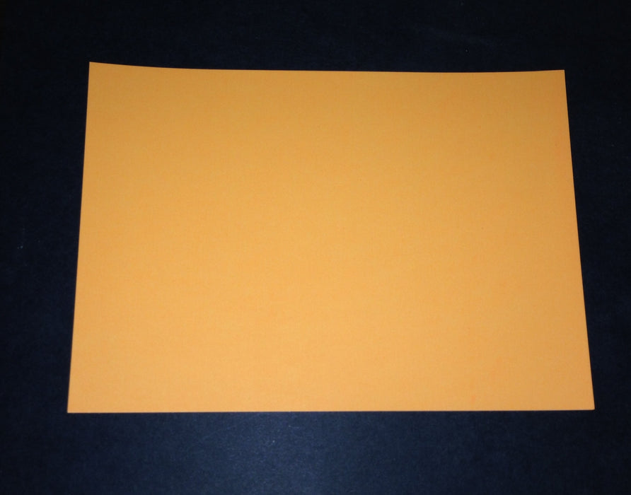 Light Orange Fluorescent Shelf Signs Price Cards 7" x 5"- 100 signs