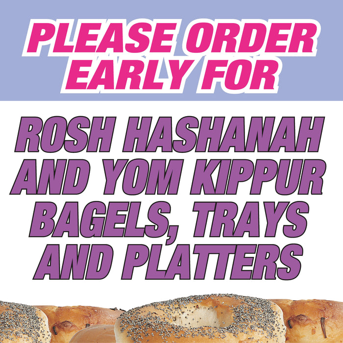 Rosh Hashanan-Yom Kipper Bag Stuffers-Handouts-Flyers -500 pieces
