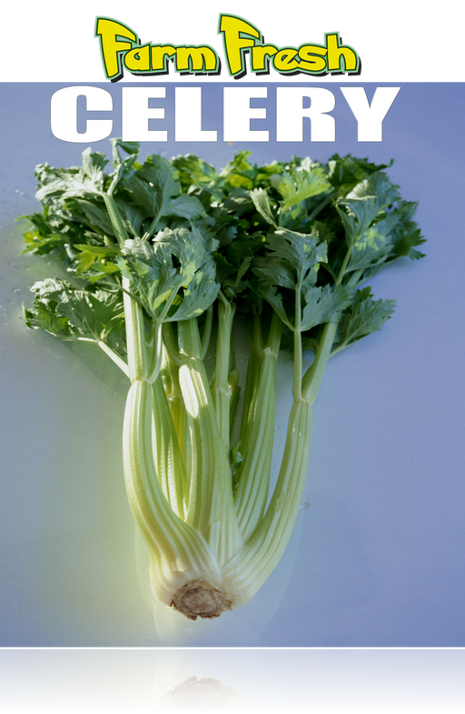 Celery Poster-36"W x 48"H - screengemsinc