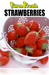 Produce-Strawberry Poster-36"W x 48"H - screengemsinc