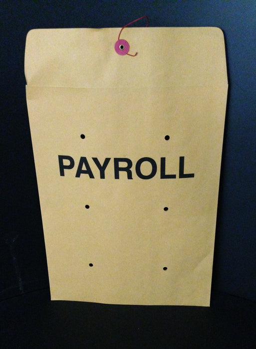 Payroll Envelopes-10"x13"
