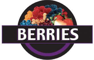 Berries Identification Hanging Sign Kit