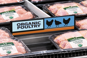 Organic Poultry meat case divider with black slim base, no side flanges