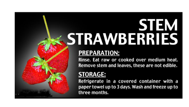 Produce Items Insert Signs- PICK YOUR SIGNS-150 pieces