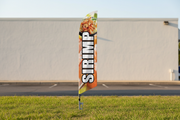 Shrimp feather flag in grass