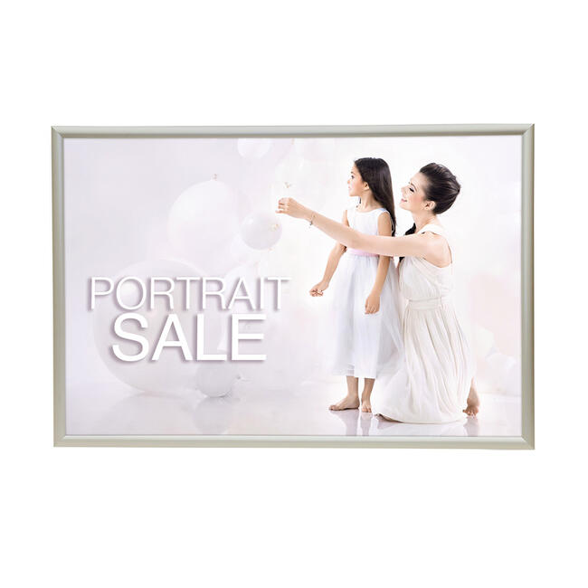 24 x 36 Snap Open Silver Poster Frame for Wall
