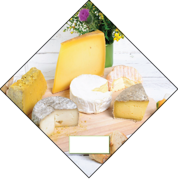 Dairy Ceiling Danglers- Cheese