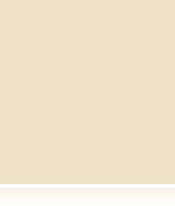 HEAVY DUTY Beige Price Channel Molding Strips-48" W x 1.25" H -100 pieces