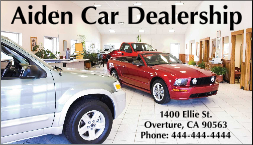 Custom Printed Car Dealership Magnetic Signs & Business Cards