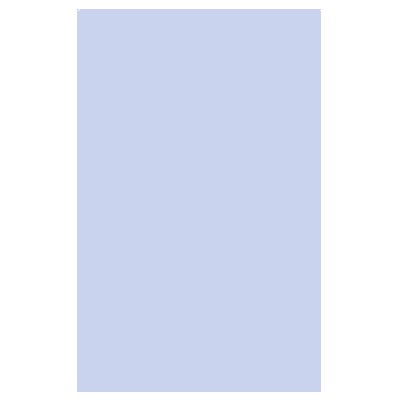 Clear Plastic Print Protectors Inserts-22" W x 28" H-4 pieces