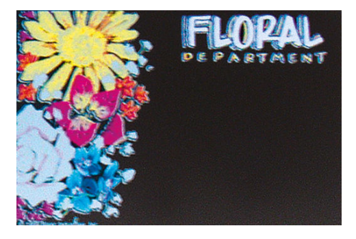 Floral Department Price Signs- 5 pieces