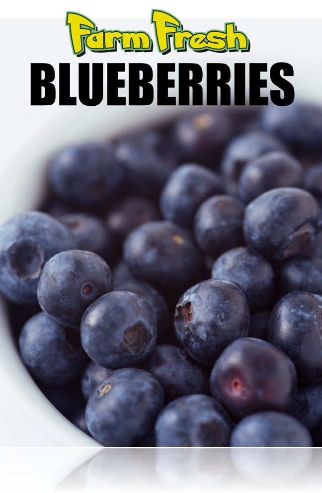 Farm Fresh Blueberries Ceiling Dangler Hanging Sign 22" W x 28" L