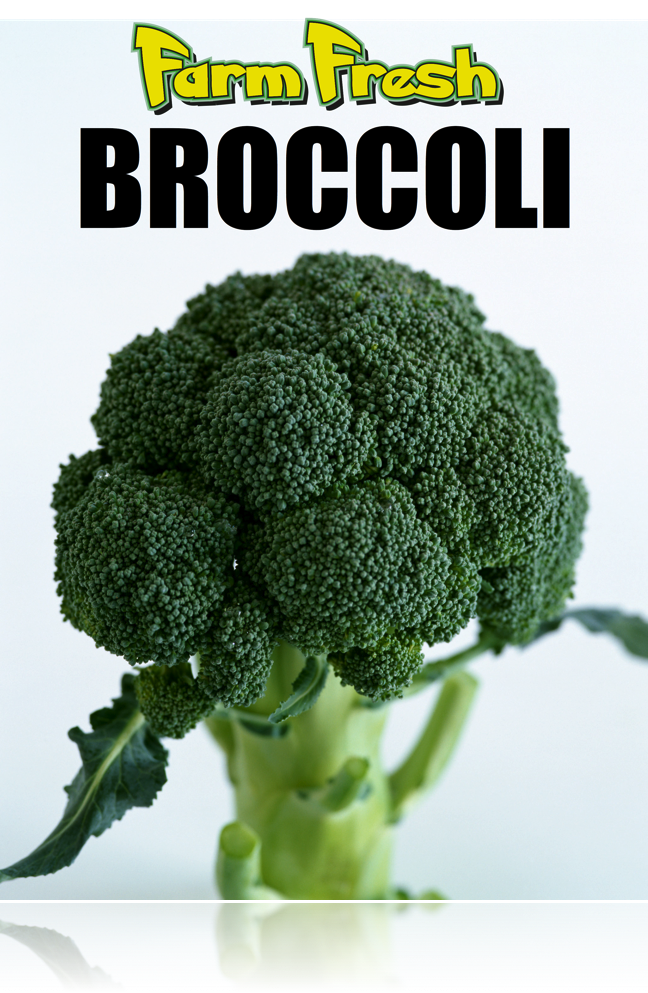 Farm Fresh Broccoli Hanging Sign Ceiling Dangler 22