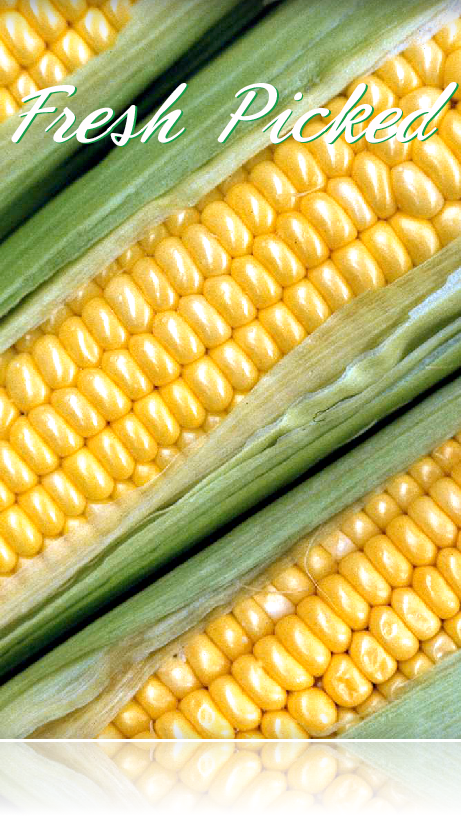 Corn Hanging Sign for supermarket produce dept