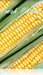 Corn Hanging Sign for supermarket produce dept