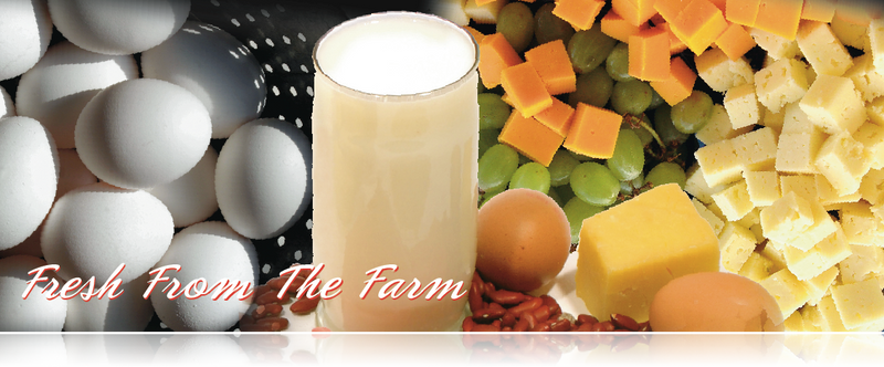 Dairy Hanging Ceiling Sign