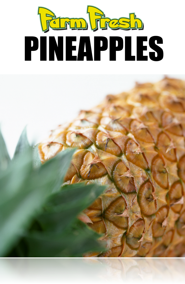 Farm Fresh Pineapples Hanging Sign Ceiling Danglers 22" W x 28" L