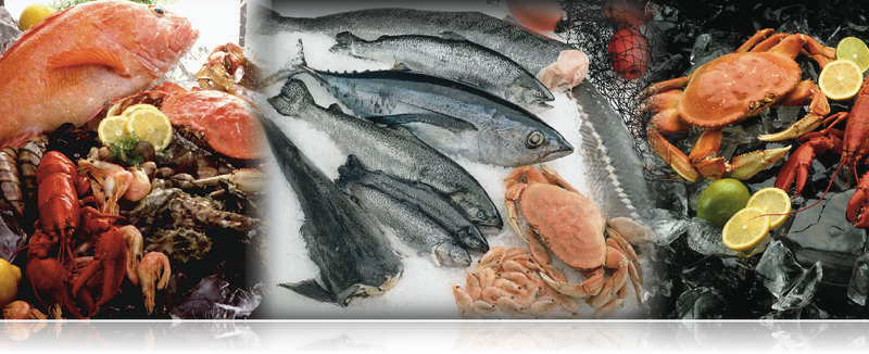 Seafood Hanging Sign 32"W x 24"H