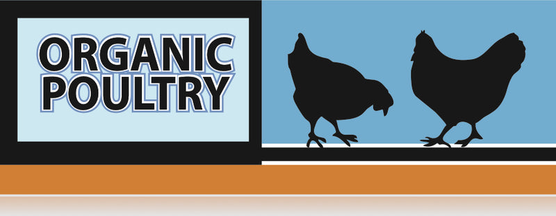 Organic Poultry Meat Case Dividers-12" Long