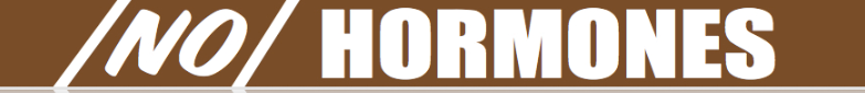 No Hormones-No Antibiotics Price Channel Molding Strips-12"W x 1.25"H -20 pieces