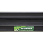 Organic Produce Name Inserts Set