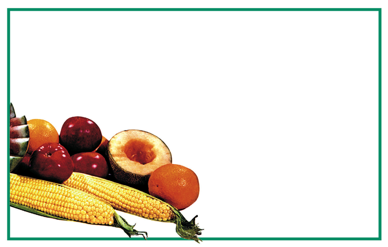 Produce Shelf Signs Price Cards-Full Color 11"W x 7"H -100 signs - screengemsinc