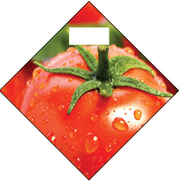 Produce Ceiling Danglers- Tomato