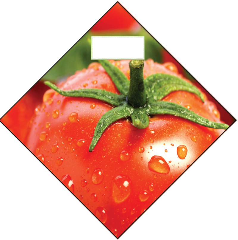 Produce Ceiling Danglers- Tomato