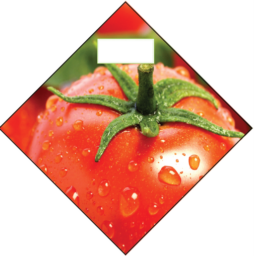 Produce Ceiling Danglers- Tomato