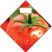 Produce Ceiling Danglers- Tomato