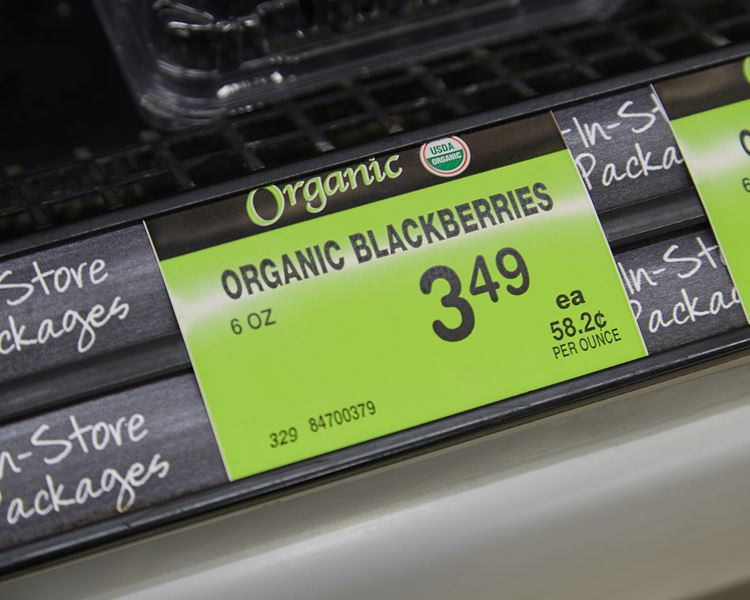 2-Track Sign Holder Channel with Adhesive back