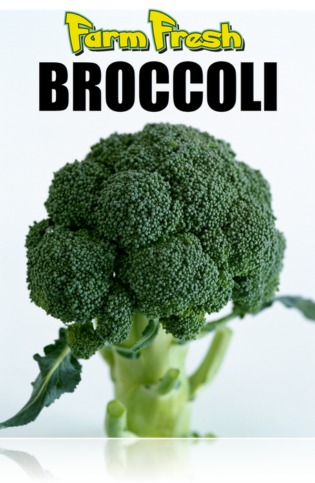 Produce-Broccoli Window Wall Poster-36"W x 48"H - screengemsinc