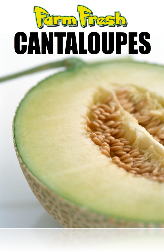 Produce -Cantaloupe Window Sign or Wall Poster-36"W x 48"H - screengemsinc