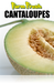 Produce -Cantaloupe Window Sign or Wall Poster-36"W x 48"H - screengemsinc