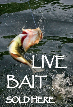 Live Bait Sold Here Window Signs Poster-11"W x 17"H