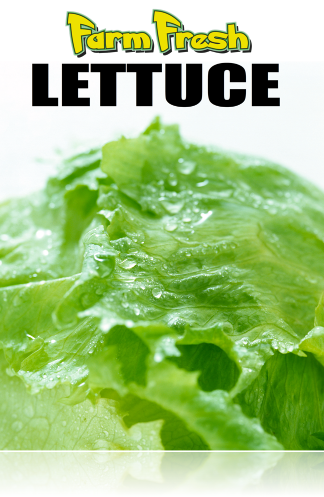 Produce-Lettuce Sign Poster- 36"W x 48"H - screengemsinc