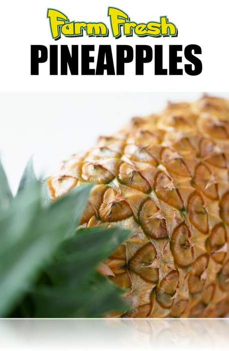 Produce- Pineapple Poster-36"W x 48"H - screengemsinc