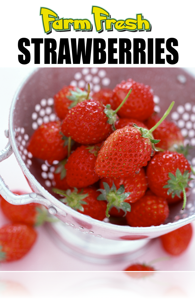 Produce-Strawberry Poster-36"W x 48"H - screengemsinc