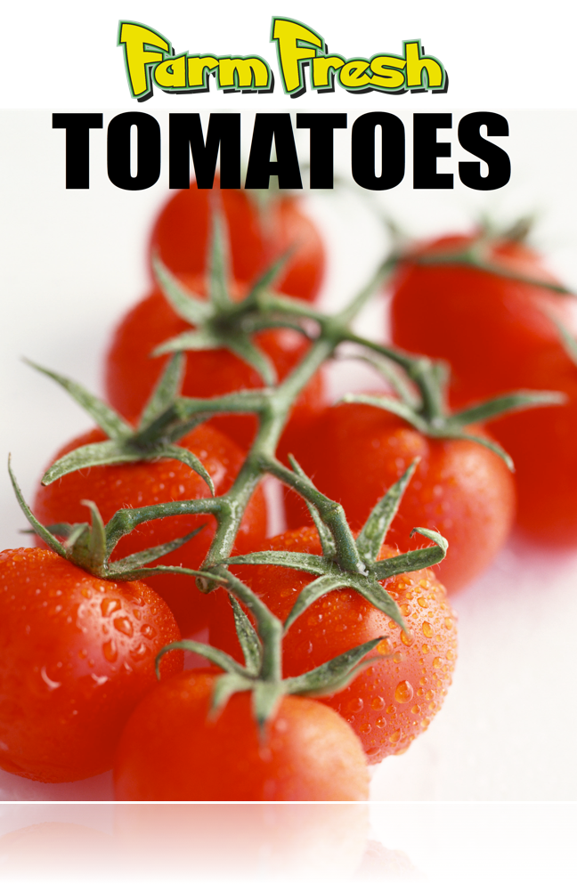 Tomatoes Poster-36"W x 48"H - screengemsinc