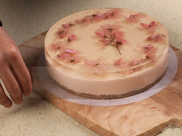 Cake Collar Bands-2.5"x28"