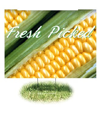 Corn Lawn Yard Signs 24"W x 18"H -2 pieces