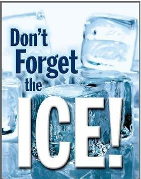 Don't Forget The Ice Sign- 12"W x 18"H
