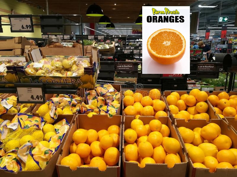 Farm Fresh Produce Oranges Hanging Sign Ceiling Dangler 22"W x 28"L