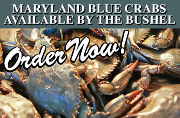 Maryland Blue Craw Crabs Hanging Sign 32"W x 24"H