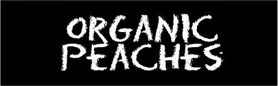 A set of black organic produce tags with white text, designed for insertion in a display holder.