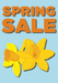 Spring Sale Window Sign Posters 